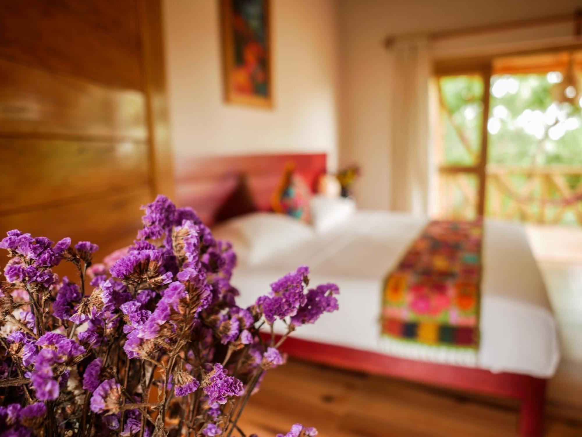 Carpe Diem Casitas & Villas 마순테 객실 사진